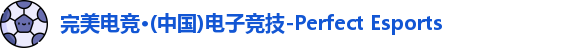 完美电竞